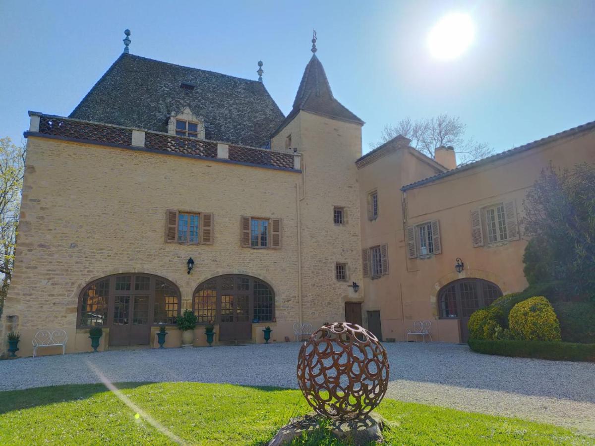 Chateau De La Venerie Denice Exterior photo