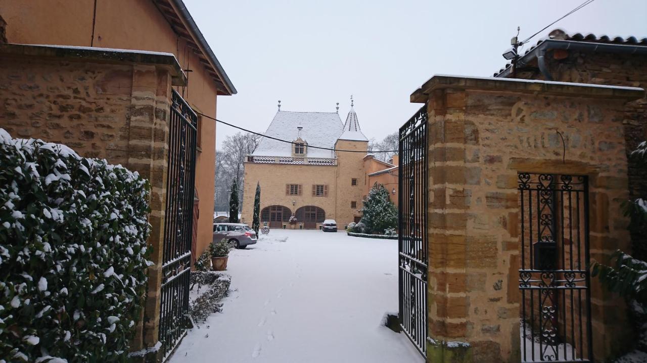 Chateau De La Venerie Denice Exterior photo